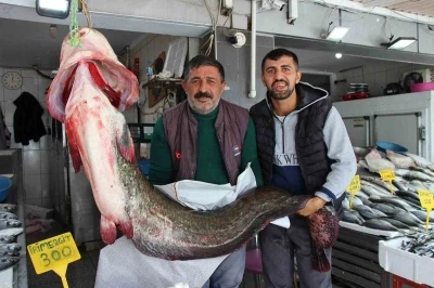 Altınkaya Barajı’nda 85 kiloluk dev yayın balığı yakalandı
