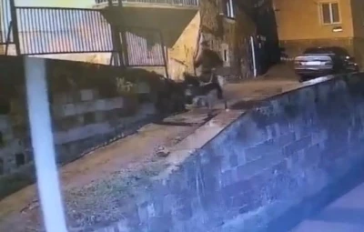 Altınları &ccedil;alıp eşekle ka&ccedil;an sanığa 9 yıl 7 ay hapis cezası
