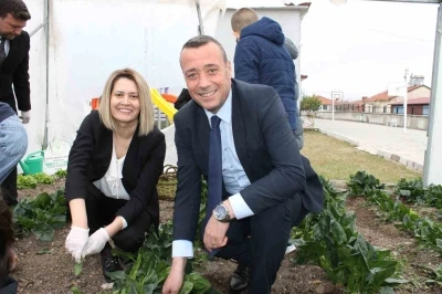 Altıntaş Zafer İlkokulu Tarım At&ouml;lyesinin ilk hasadı ıspanak oldu

