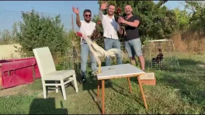 Amasya’da düğünde damada 250 bin TL değerinde Hint horozu hediye edildi
