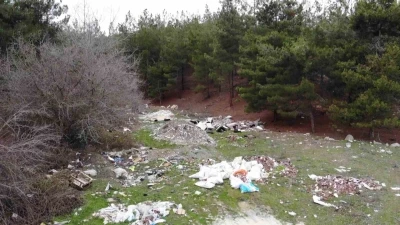 Amasya&rsquo;da orman &ccedil;&ouml;pl&uuml;ğe d&ouml;n&uuml;şt&uuml;: "Bu toprakları piyangodan kazanmadık"
