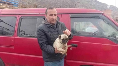 Amasya&rsquo;da yangında mahsur kalan k&ouml;peği muhtar kurtardı
