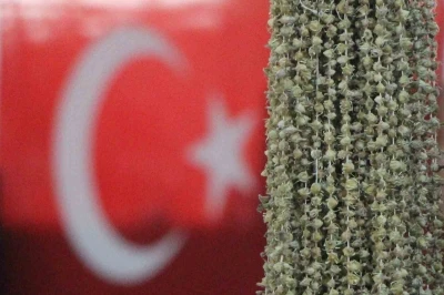 Amasyalı bamyacılar Uganda bamyasını ombdusmana şikayet etti
