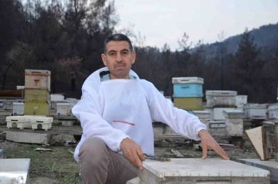 Ana arı üretiminde büyük başarı: Bir arı kovanıyla hobi olarak başladı, şimdi Türkiye’nin her yerine koloni gönderiyor
