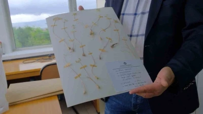 Anadolu &Uuml;niversitesi&rsquo;nden d&uuml;nya literat&uuml;r&uuml;ne iki yeni endemik t&uuml;r
