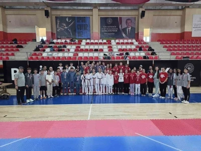ANALİG Taekwondo İl Se&ccedil;meleri tamamlandı
