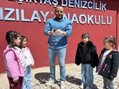 Anaokulunun misafiri &lsquo;Fındık&rsquo; 6 yavru d&uuml;nyaya getirdi
