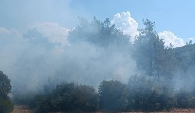 Andırın’da orman yangını büyümeden söndürüldü