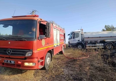 Anız ve &ouml;rt&uuml; yangınında direkte bulunan leylekler telef oldu
