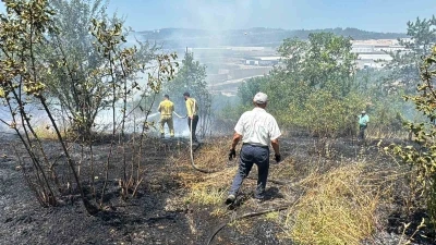 Anız yangını kontrolden &ccedil;ıkıp ormana sı&ccedil;radı
