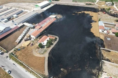 Anız yangınları hem canlılara hem de toprağa zarar veriyor
