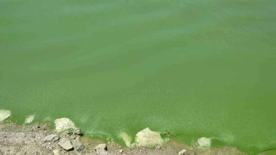 Ankara’da kuraklık alarmı: Barajlarda suların azalmasıyla eski yerleşim yerleri gün yüzüne çıktı
