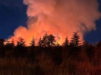 Ankara&rsquo;da otluk arazide &ccedil;ıkan yangın s&ouml;nd&uuml;r&uuml;ld&uuml;
