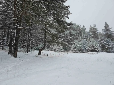 Ankara&rsquo;da yaylalar beyaza b&uuml;r&uuml;nd&uuml;

