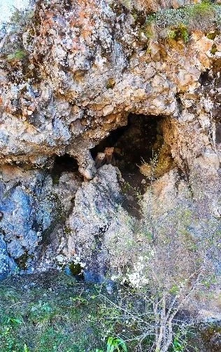 Anne ayı ve yavruları inlerinde dron kamerasıyla g&ouml;r&uuml;nt&uuml;lendi
