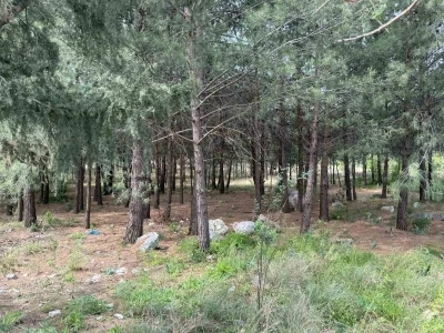Anne ve oğlunu &ouml;ld&uuml;ren katil akrabaların &ccedil;aldıkları altınları kuyumcuya sattıkları ortaya &ccedil;ıktı

