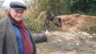 Annelerini kaybeden yavru ayılar, ilçenin maskotu oldu
