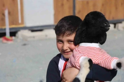 Annesi doğumda telef olan &rsquo;Boncuk&rsquo; kuzu, elbisesi ve biberonuyla ilgi odağı oldu
