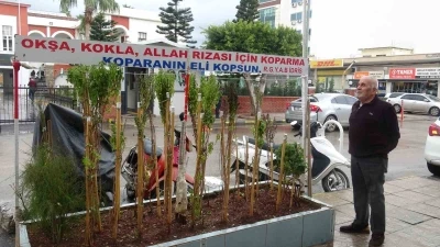 Annesinin &ccedil;ok sevdiği &ccedil;i&ccedil;eği, iş yerinin &ouml;n&uuml;nde mezarı andıran alanda 40 yıldır yaşatıyor
