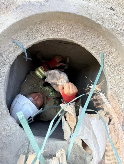 Antakya’da 5 metrelik kuyuya düşen yavru köpek kurtarıldı
