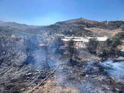 Antakya’da bahçe yangını
