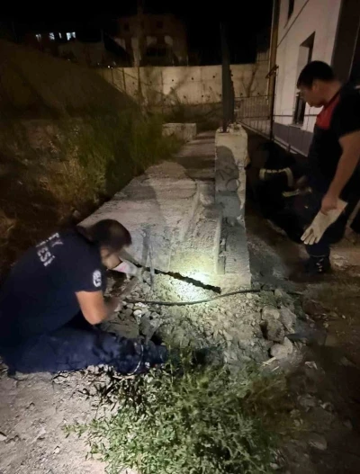 Antakya’da beton boru içinde sıkışan kedi kurtarıldı
