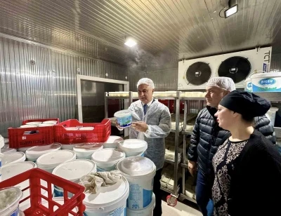 Antakya&rsquo;da s&uuml;t &uuml;r&uuml;nleri &uuml;reten firma incelendi
