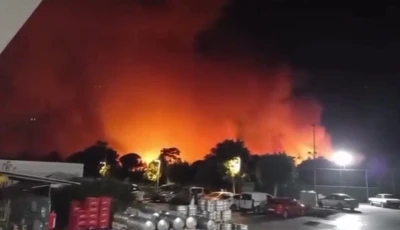 Antalya Aksu’da ormanlık alanda yangın
