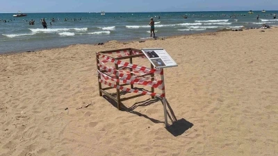 Antalya&rsquo;da &rsquo;caretta caretta&rsquo; yuvası bilmecesi
