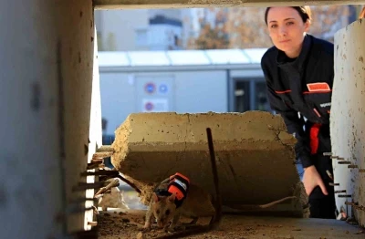 Antalya&rsquo;da eğitilen Afrika keseli sı&ccedil;anları enkaz altındaki "g&ouml;z" olacak
