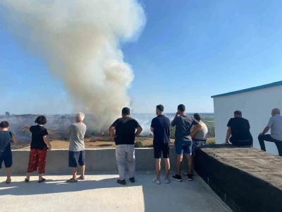 Antalya’da makilik alanda çıkan yangın zeytin ağaçlarına zarar verdi
