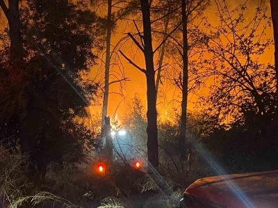Antalya’da ormanlık alanda yangın
