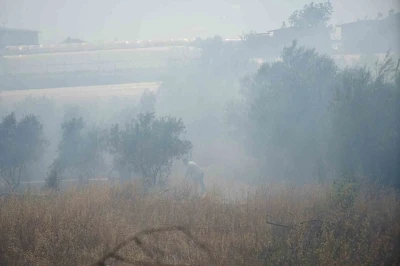 Antalya&rsquo;da sera ve evleri tehdit eden yangın mahalleliyi korkuttu
