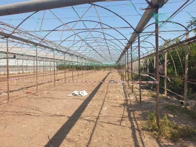 Antalya’da serada cinayet: 2 ölü
