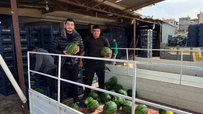 Antalya&rsquo;da sezonun ilk karpuz hasadı yapıldı
