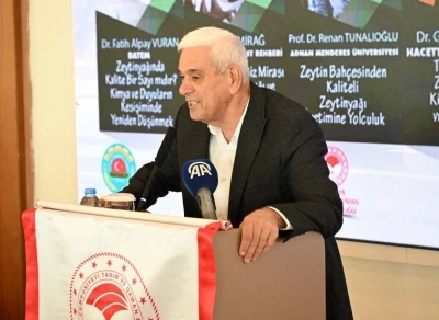 Antalya&rsquo;da zeytinlik alan 20 yılda 2 katına &ccedil;ıktı
