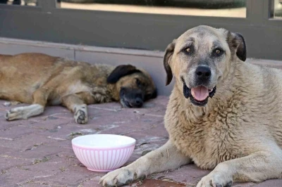 Antalya’nın denizi bile yanıyor:  Termometreler 45, deniz suyu 32 derece
