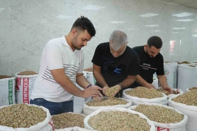 Antep fıstığına ithalat izni çıkıcınca fiyatlar ve satışlar düştü

