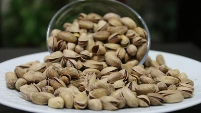 Antep fıstığında ithalat kararı piyasayı sarstı, “Fıstık artık Bitcoin gibi yatırım aracı oldu”