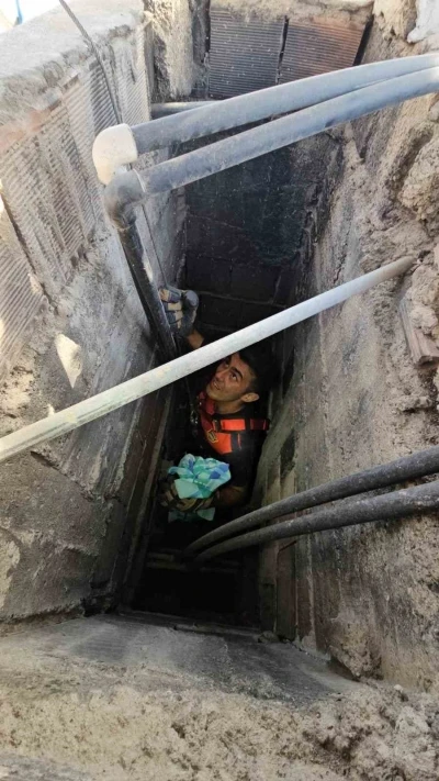 Apartman boşluğuna düşen kedi zorlu operasyonla kurtarıldı
