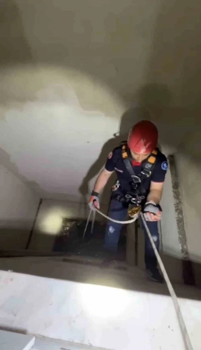 Apartman boşluğuna d&uuml;şen yavru martı ekiplerce kurtarıldı
