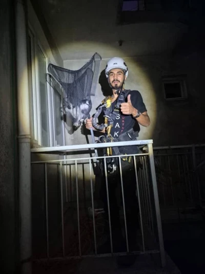 Apartman boşluğunda mahsur kalan yavru kedi kurtarıldı
