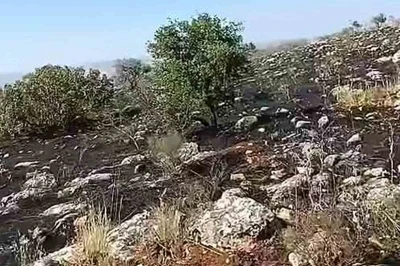 Araban&rsquo;da fıstıklık ve otluk alanda yangın
