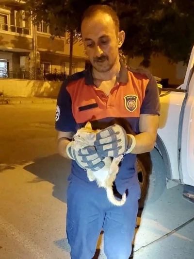 Aracın motor kısmına giren yavru kediyi itfaiye ekipleri kurtardı
