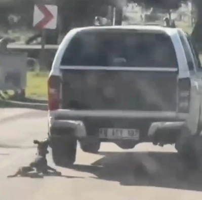 Araçla metrelerce sürüklenen köpek telef oldu: 2 gözaltı
