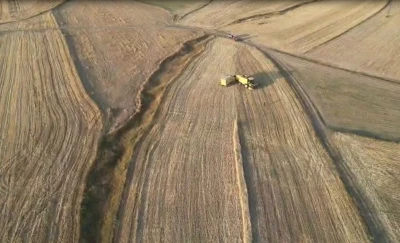 Ardahan’da arpa ve buğday hasadı sürüyor
