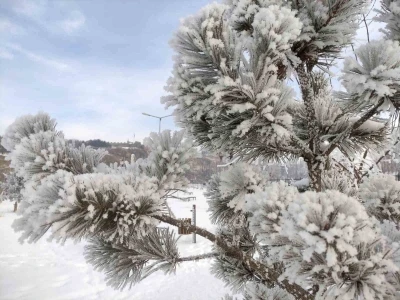 Ardahan&rsquo;da dondurucu soğuklar etkili oldu
