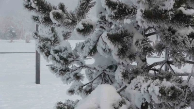 Ardahan&rsquo;da dondurucu soğuklar etkisini artırdı: Ağa&ccedil;lar kırağı tuttu
