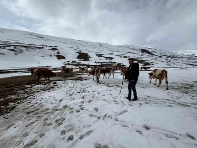 Ardahan&rsquo;da kış mevsiminin uzaması hayvancılığı vurdu
