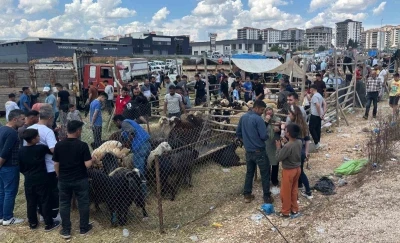 Arefe g&uuml;n&uuml; Gaziantep&rsquo;teki kurban pazarlarında yoğunluk had safhaya &ccedil;ıktı
